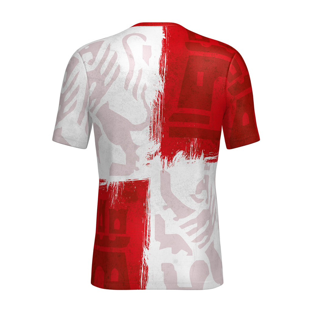 Camiseta Técnica Castilla y León