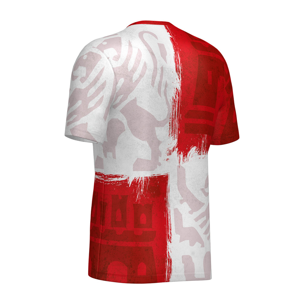 Camiseta Técnica Castilla y León